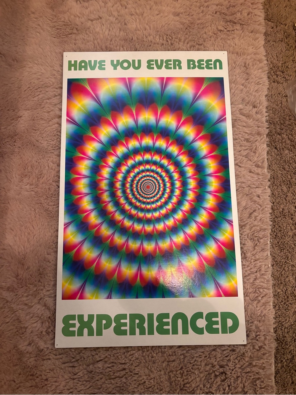 Have You Ever Been Experienced — Psychedelic Rainbow Wall Art Poster 13x22